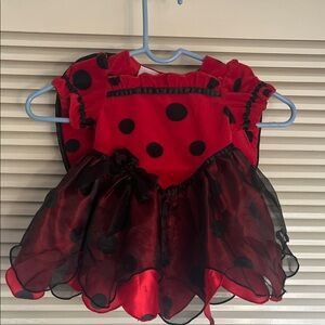 Koala Kids Red and Black Polka Dot Costume